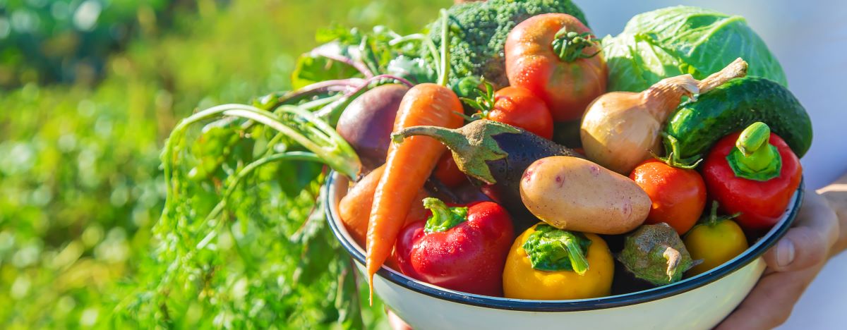 Saisonkalender: Obst und Gemüse Saison Deutschland